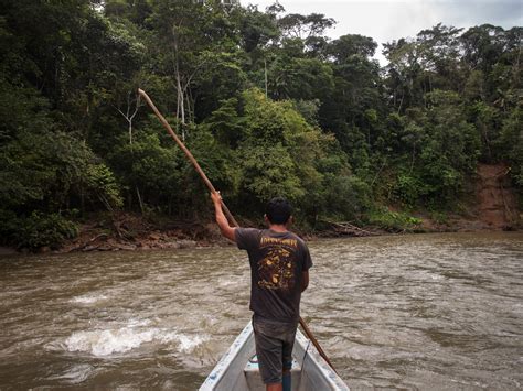Ecuadorians reject oil drilling in the Amazon, ending operations in a protected area